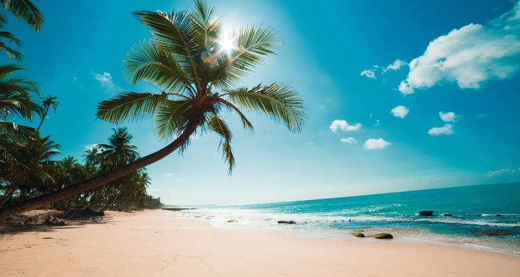 Sri Lanka : Points forts de l'été - SKR Reisen 4