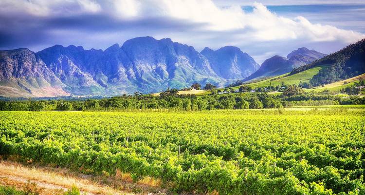 South Africa & Mauritius Highlights - SKR Reisen 4
