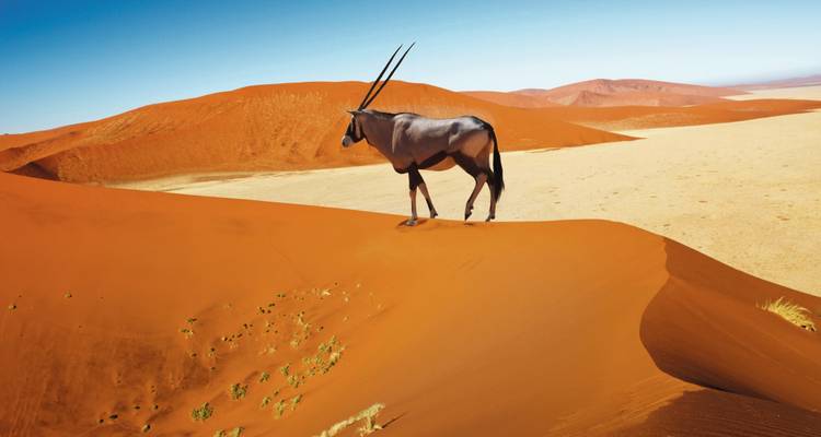 Namibia: Con estilo - SKR Reisen 3