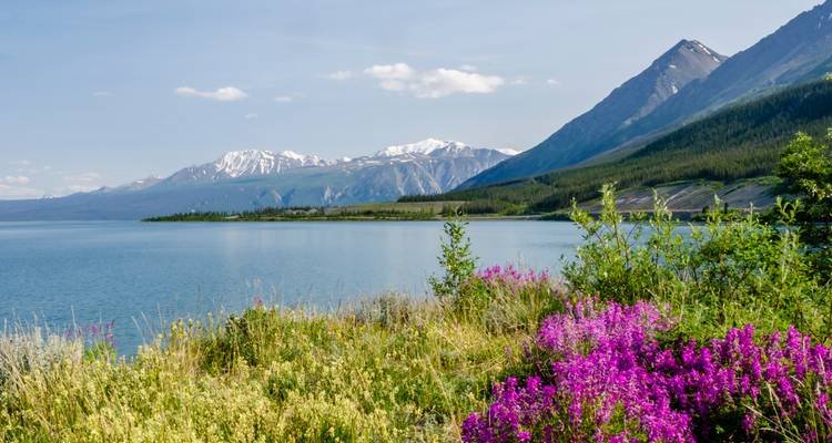 Ruhiger See vor schneebedeckten Bergen mit bunten Wildblumen im Vordergrund.