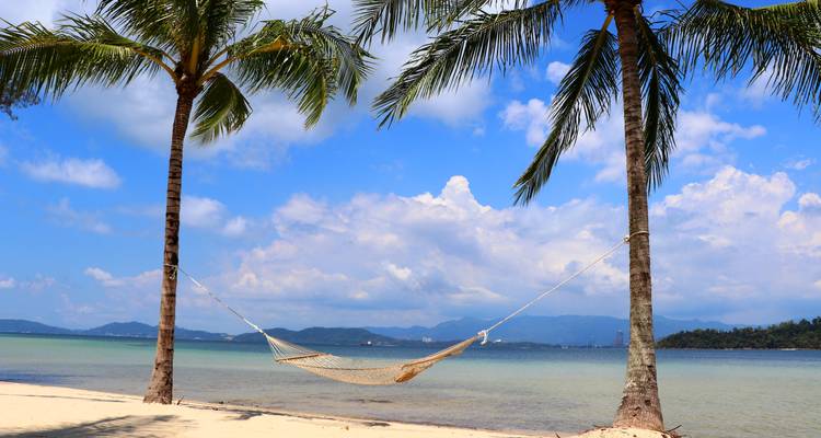 Hamac vide suspendu entre deux palmiers sur une plage tropicale de sable blanc
