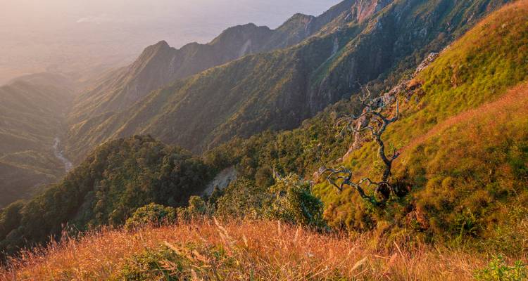 Abendlicht umhüllt die steilen, üppigen Gebirgskämme des Mulanje-Massivs über einer dunstige Ebene.
