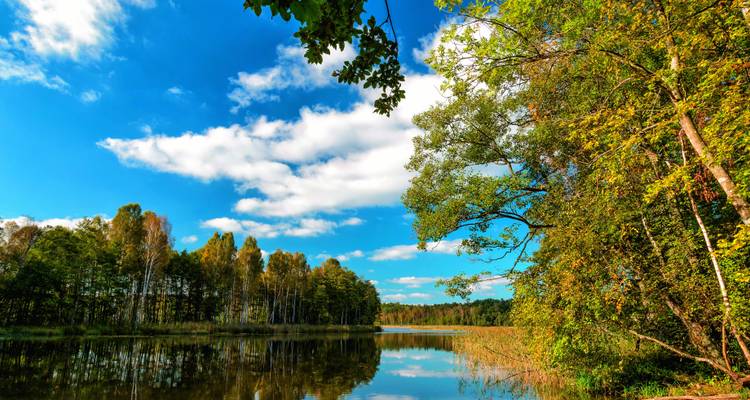 Schöne Landschaft eines Sees umgeben von Bäumen