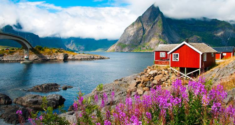 Eine klassische rote norwegische Hütte auf felsigem Ufer neben einem ruhigen Fjord, mit leuchtend rosa Wildblumen im Vordergrund und einem wolkenbedeckten Gipfel im Hintergrund.