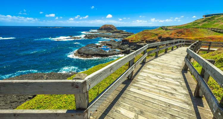 Wooden boardwalk along the rugged coast.