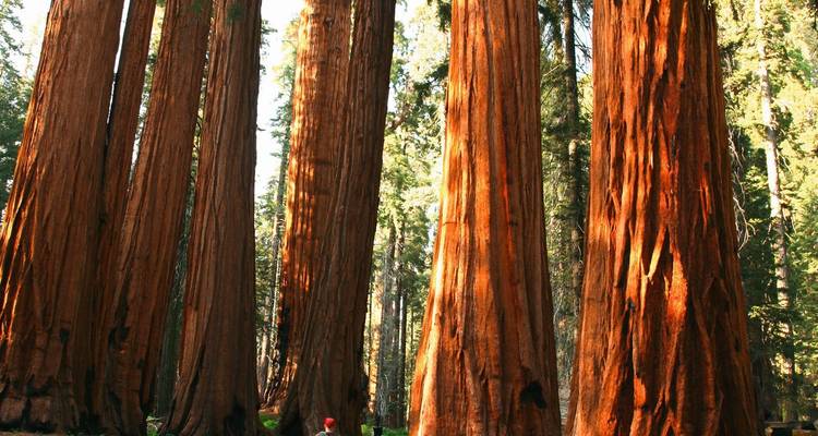 Californie et Sud-Ouest : Points forts - SKR Reisen 1