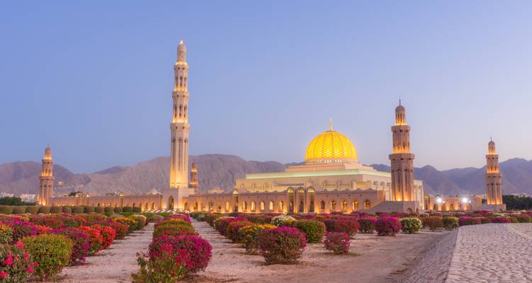 Grand mosque with illuminated golden dome and tall minarets framed by flower gardens at dusk