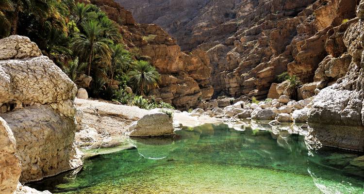 Clear emerald pool nestled in a rocky canyon surrounded by palms and rugged cliffs