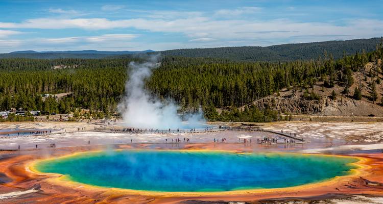 Couleurs vives d'arc-en-ciel de Grand Prismatic Spring avec de la vapeur s'élevant contre un arrière-plan forestier de Yellowstone.