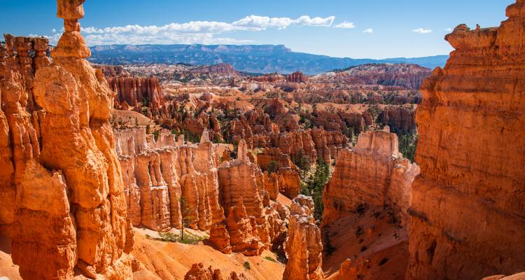 D'imposantes cheminées de fée rouges et des amphithéâtres escarpés de Bryce Canyon sous un ciel bleu éclatant.
