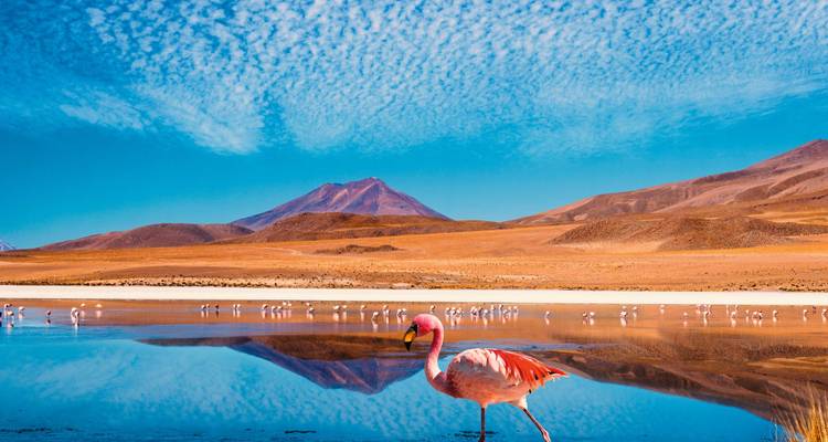 Chile Highlights - SKR Reisen 4