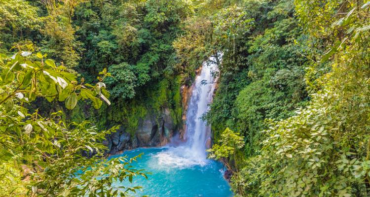Hellblauer Pool am Fuß des Rio Celeste Wasserfalls, umgeben von dichtem grünem Regenwald.