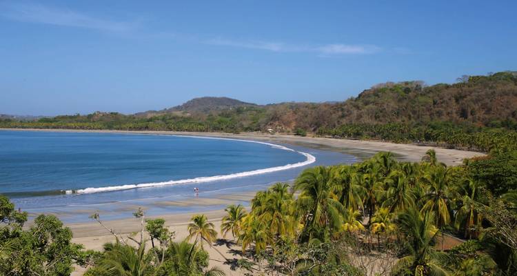 Tropischer geschwungener Strand mit Palmen in Costa Rica.