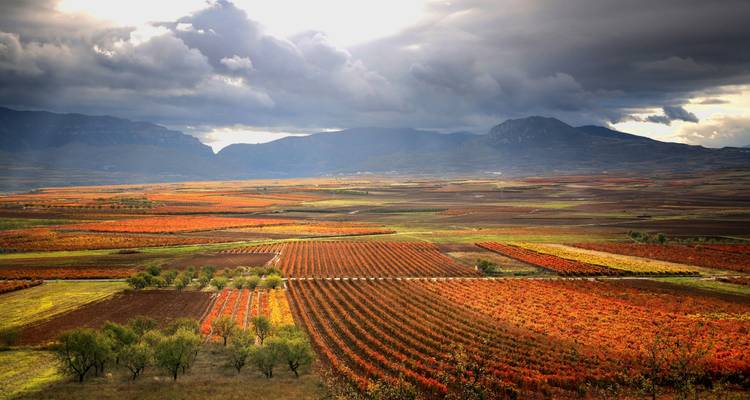 Vineyards of La Rioja Cycling - Exodus Adventure Travels 10