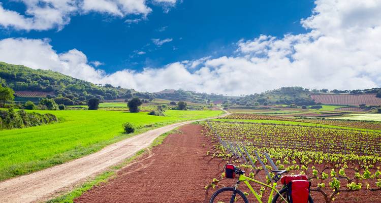 Vineyards of La Rioja Cycling - Exodus Adventure Travels 9
