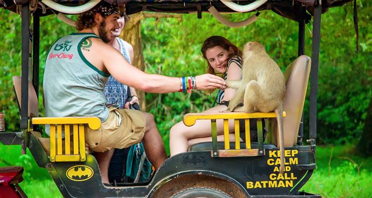 Des touristes dans un tuk-tuk interagissent avec un singe.