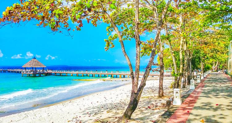 Plage tropicale avec sable blanc et eaux bleues.