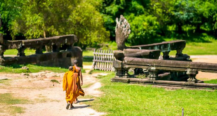 Monniken die langs een pad lopen omringd door de natuur.