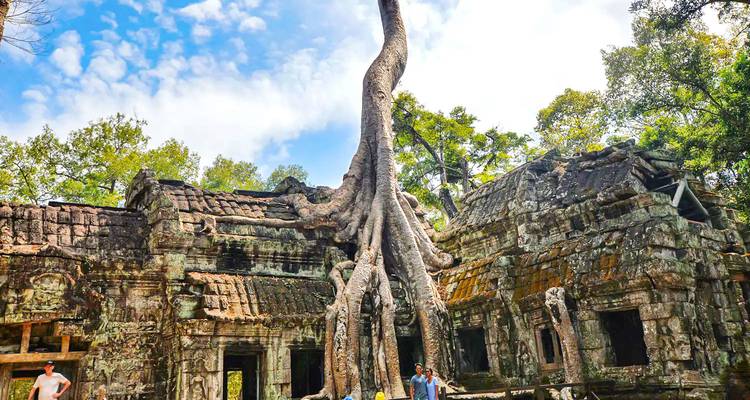 Oude tempelruïnes met grote boomwortels in Siem Reap.