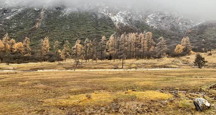 Circuito de 3 días por Sichuan occidental: valle de Bipenggou y glaciar de Dagu desde Chengdu - Silk Road Trips 3