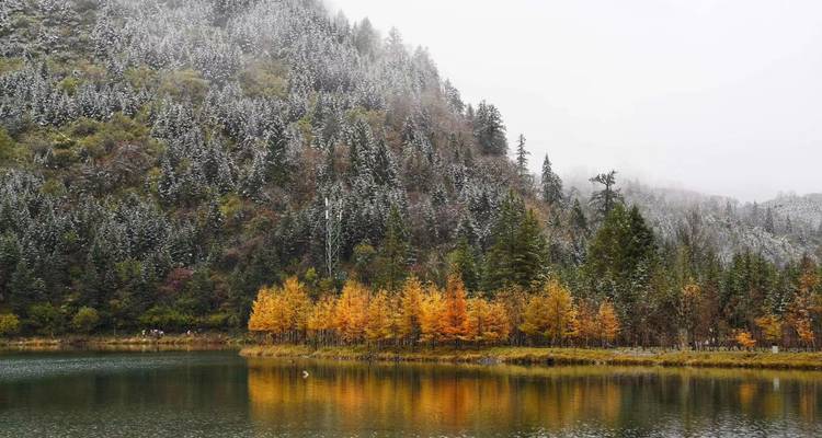 Circuito de 3 días por Sichuan occidental: valle de Bipenggou y glaciar de Dagu desde Chengdu - Silk Road Trips 7