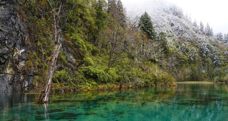 Circuito de 3 días por Sichuan occidental: valle de Bipenggou y glaciar de Dagu desde Chengdu - Silk Road Trips 8