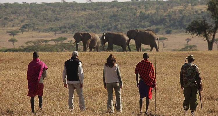 Safari de luxe au Serengeti - Big Five en Tanzanie - Zara Tours (Zara Tanzania Adventures) 10