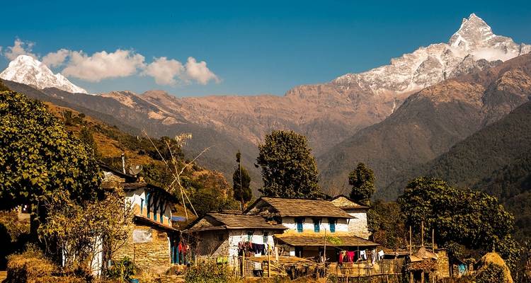 Senderismo Mardi Himal - Peregrine Treks and Expedition Pvt Ltd 1
