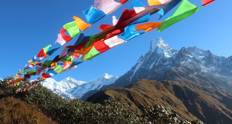 Senderismo Mardi Himal - Peregrine Treks and Expedition Pvt Ltd 3