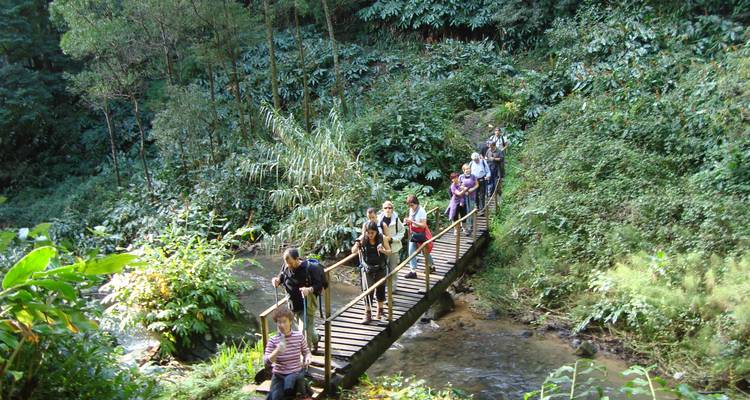 Expérience active de São Miguel - Futurismo Azores Adventures 8