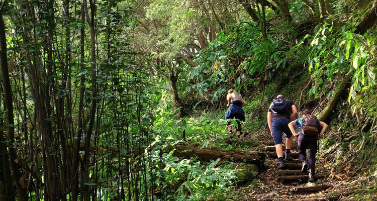 São Miguel Soft Hiking - Futurismo Azores Adventures 2