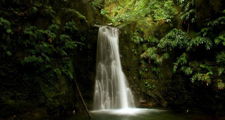 São Miguel Soft Hiking - Futurismo Azores Adventures 9