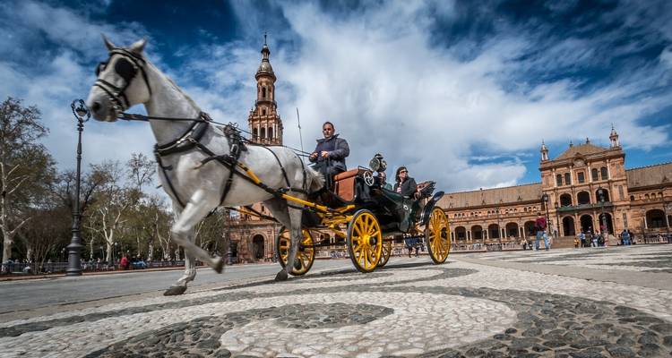 Cáceres y Sevilla, 3 días los sábados - VPT Tours 7