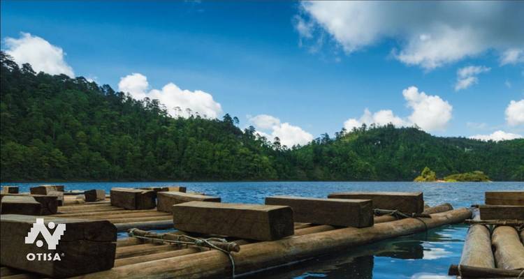 An Authentic Cultural Experience with Passion and Tradition in Chiapas - Otisa 6