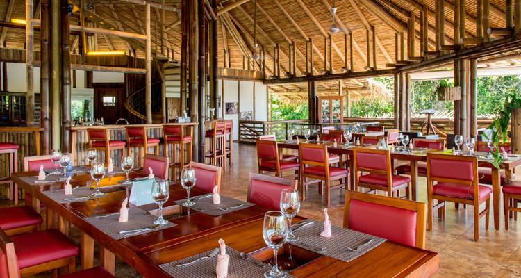 La Selva Amazon Lodge 4 jours - GUIDEcuador Travel 6