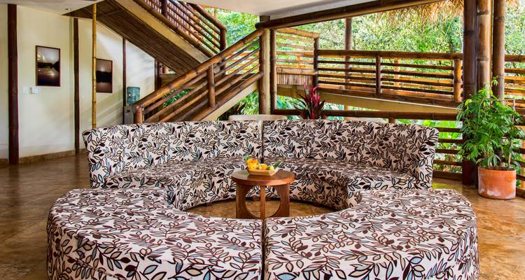 La Selva Amazon Lodge 4 jours - GUIDEcuador Travel 7