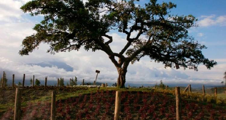 Circuit actif de 8 jours en Équateur - GUIDEcuador Travel 4