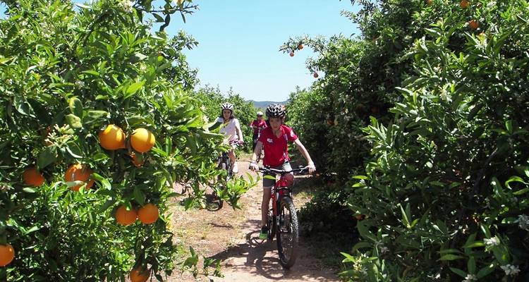 Ojos Negros La vía verde más larga de España en 3 etapas - Mediterranean Bike Tours 4
