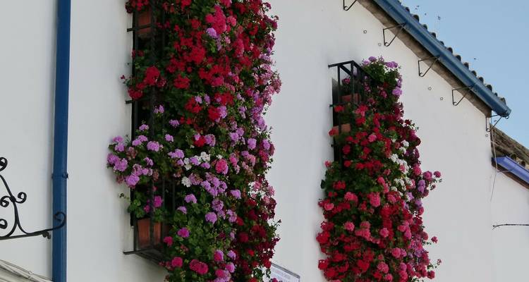 Cordoba, Seville & Costa del Sol - VPT Tours 2
