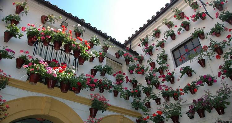 Cordoba, Seville & Costa del Sol - VPT Tours 3