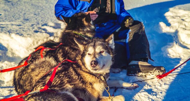 Circuito privado a medida por Finlandia y la Laponia de cuento de hadas - Agate Travel 8