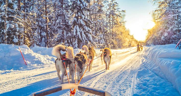 Circuito privado a medida por Finlandia y la Laponia de cuento de hadas - Agate Travel 4