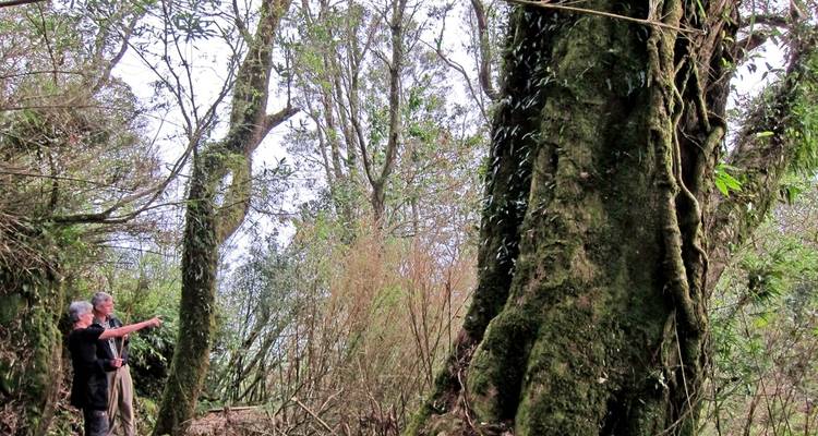 Taïwan : la culture du thé, la vie quotidienne dans les monastères et la diversité des îles - MOSKITO Adventures 10