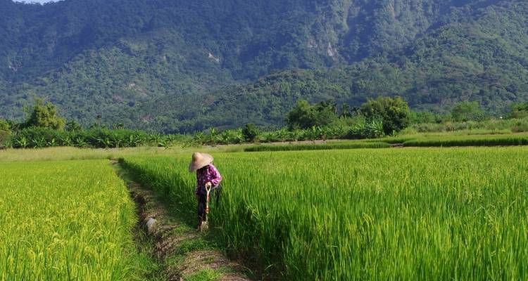 Taïwan : la culture du thé, la vie quotidienne dans les monastères et la diversité des îles - MOSKITO Adventures 2