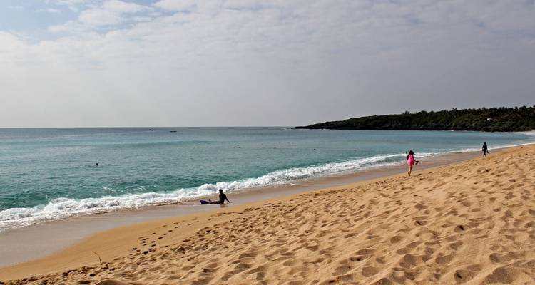 Taïwan : la culture du thé, la vie quotidienne dans les monastères et la diversité des îles - MOSKITO Adventures 3