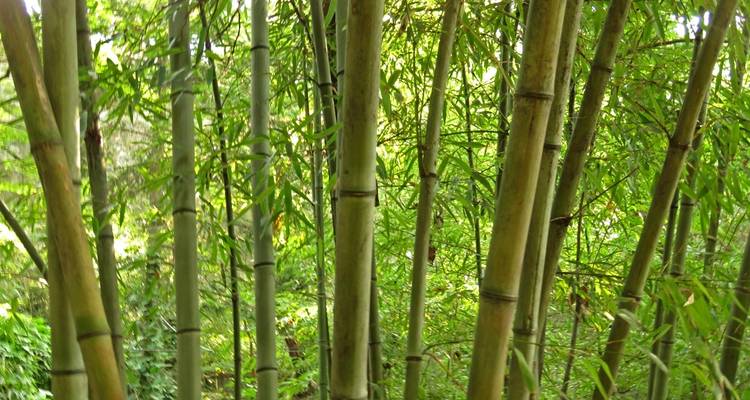 Corée du Sud : découvrir la culture et la nature extrême-orientales - MOSKITO Adventures 1