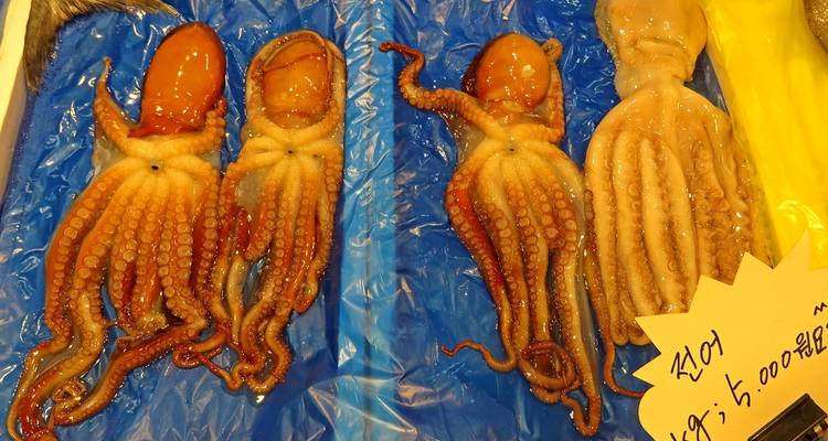 Corée du Sud : découvrir la culture et la nature extrême-orientales - MOSKITO Adventures 8