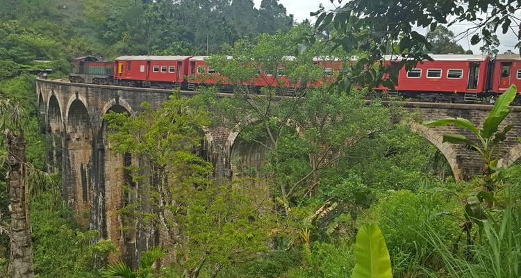 SRI LANKA: Viaje activo en un paraíso tropical - MOSKITO Adventures 6