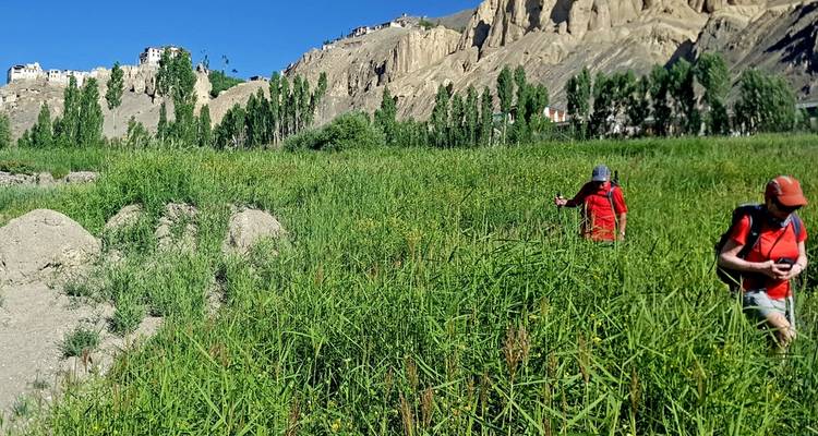 India: Active "Road Trip" from Ladakh to Kashmir - MOSKITO Adventures 2