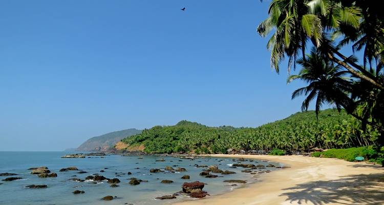 Mumbai, Goa & Kerala Multisport Tour - MOSKITO Adventures 6